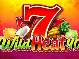 Wild Heat 40 game cover
