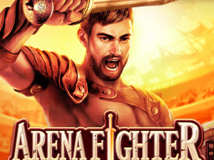 Arena Fighter game cover